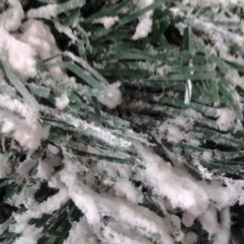 Sloth (USA-2) : It's Pretty When It Is Fake and It Is the Middle of the Summer